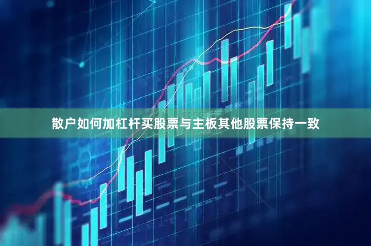 散户如何加杠杆买股票与主板其他股票保持一致