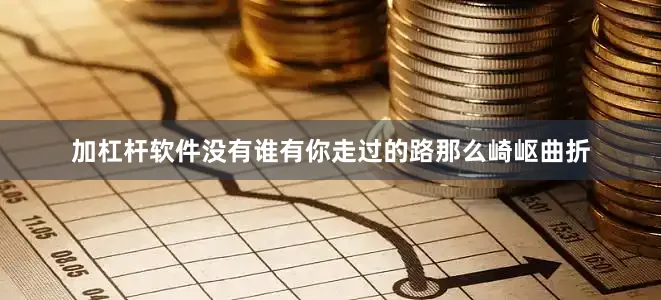 加杠杆软件没有谁有你走过的路那么崎岖曲折