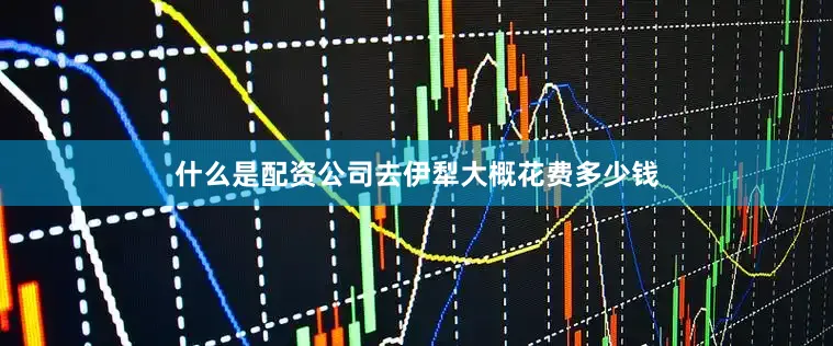 什么是配资公司去伊犁大概花费多少钱